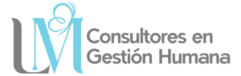 LM Consultores